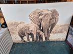 Canvas olifant, Huis en Inrichting, Woonaccessoires | Schilderijen, Tekeningen en Foto's, Ophalen, 50 tot 75 cm, Zo goed als nieuw
