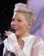 Pink (p!nk) 2 tickets 1e ring - rij 14- Amsterdam Arena, Tickets en Kaartjes, Juli, Twee personen