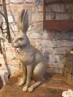 Schitterende grote levensechte haas 62 cm!, Ophalen of Verzenden