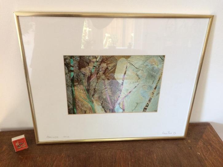 Lars Bech photomicrography organisch turquoise modern kunst, Antiek en Kunst, Kunst | Schilderijen | Modern, Ophalen of Verzenden