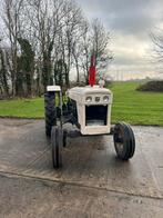 David Brown 996 Tractor - 62Pk, Gebruikt, Meer dan 10000, Tot 80 Pk, Ophalen