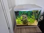 Aquarium 60ltr, Dieren en Toebehoren, Ophalen, Gebruikt, Leeg aquarium