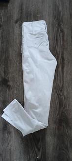 Maya Delorez performance rijbroek, Dieren en Toebehoren, Dressuur, Zo goed als nieuw, Dames, Onderkleding