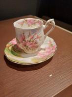 Royal albert blossom time dames kop schotel, Verzamelen, Ophalen of Verzenden, Zo goed als nieuw, Kop en/of schotel