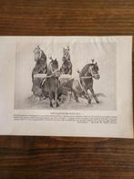 Circus/ 23 vintage zwart-wit afbeeldingen van circusfoto`s., Ophalen of Verzenden, Gebruikt