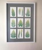 IKEA Olunda ingelijste afbeelding, Ophalen of Verzenden