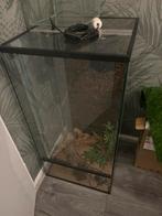 Glazen terrarium 90x45x45 met kurk achterwand, Dieren en Toebehoren, Reptielen en Amfibieën | Toebehoren, Ophalen of Verzenden