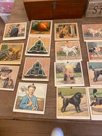 15 x aap noot mies klassikale leesplank Zolderopruiming, Ophalen of Verzenden, Overige thema's