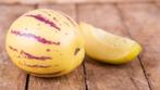 Biologische pepino of meloenpeer planten, Tuin en Terras, Planten | Tuinplanten, Ophalen, Volle zon, Groenteplanten, Eenjarig