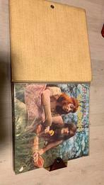 Vinyl Nederlandstalig, Ophalen of Verzenden, Gebruikt, Levenslied of Smartlap