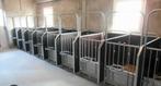Spinder kalverboxen te koop 8 stuks, Dieren en Toebehoren, Stalling en Weidegang, Opfok