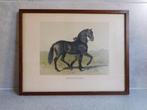 Lithografie Emil Volkers Neapolitaner, Ophalen of Verzenden