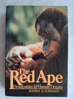 The Red Ape   Orang-utans & Human Origins  door, Ophalen of Verzenden, Zo goed als nieuw, Boek of Poster
