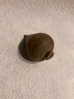 Tol oud, Antiek en Kunst, Ophalen of Verzenden