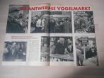 Antwerpen. Vogelmarkt. 1957., Ophalen of Verzenden, 1940 tot 1960, Nederland, Knipsel(s)