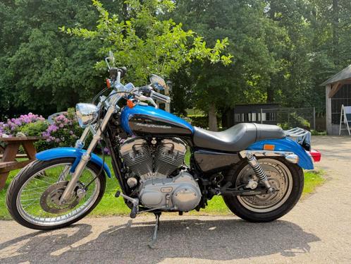 Harley-Davidson Sportster XL883C Custom Blauw – BTW-motor, Motoren, Motoren | Harley-Davidson, Particulier, Chopper, meer dan 35 kW