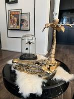 Prachtige Nieuwe Bronzen Sculptuur Zoutwaterkrokodil Schedel, Ophalen of Verzenden, Nieuw