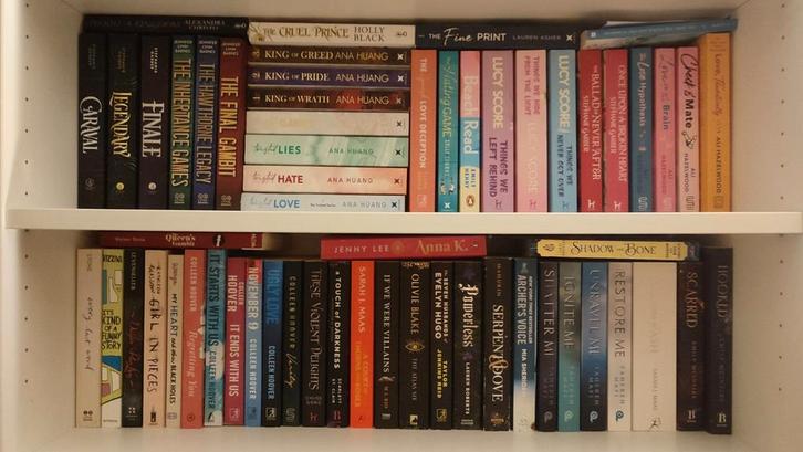 Booktok boeken, Boeken, Taal | Engels, Zo goed als nieuw, Ophalen of Verzenden