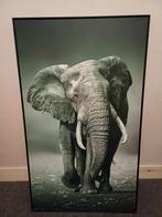 Olifant Print in Lijst, Huis en Inrichting, Woonaccessoires | Schilderijen, Tekeningen en Foto's, Ophalen of Verzenden, 50 tot 75 cm