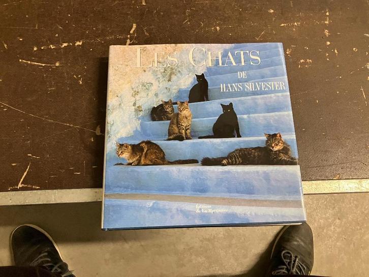 poes kat Hans Silvester, Boeken, Dieren en Huisdieren, Zo goed als nieuw, Katten, Ophalen of Verzenden