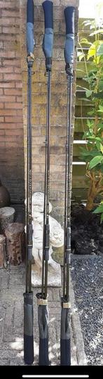 3 x Sportex specimen carp 12ft 2 1/2 lbs, Watersport en Boten, Hengelsport | Karpervissen, Ophalen of Verzenden, Zo goed als nieuw