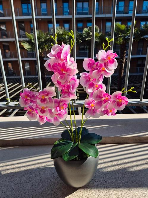 Real Touch Orchideeën, Huis en Inrichting, Woonaccessoires | Kunstplanten en Kunstbloemen, Nieuw, Ophalen