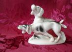 Porseleinen jachthonden. Jaren '50, Ophalen of Verzenden, Zo goed als nieuw, Dier
