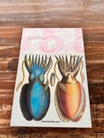 TASCHEN: Cabinet of Natural Curiosities 25th Edition, Boeken, Ophalen of Verzenden, Gelezen