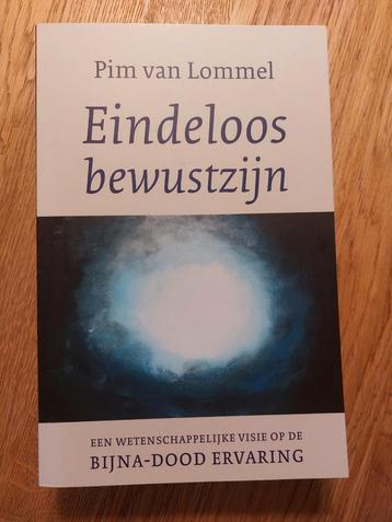 Pim van Lommel - Eindeloos bewustzijn beschikbaar voor biedingen