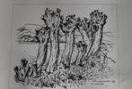 Kees Bastiaans,knot wilgen te St-Hubert, Antiek en Kunst, Kunst | Litho's en Zeefdrukken, Ophalen of Verzenden