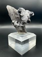 Calciet op matrix, intense UV-fluorescentie – Inner Mongolië, Ophalen of Verzenden, Mineraal