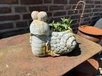 Plantenpot slak bloempot pot keramiek terracotta boho ibiza, Tuin en Terras, Bloempotten, Gebruikt, Binnen, Ophalen of Verzenden