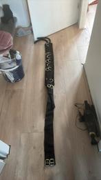 Longeersingel zwart, goud, bont, Dieren en Toebehoren, Ophalen, Zo goed als nieuw, Dressuur