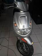 Vivacity snor, Ophalen