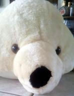 Bieden - Superzachte knuffel zeehond, Nieuw! (GAR 389), Ophalen, Nieuw, Overige typen