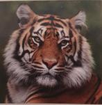 Diamond Painting Tijger - Nieuw in Verpakking!, Ophalen of Verzenden, Nieuw, Knutselwerk