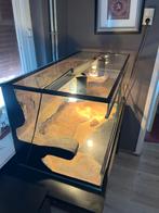 Compleet terrarium met verlichting en decoratie (100x50x50), Dieren en Toebehoren, Reptielen en Amfibieën | Toebehoren, Ophalen