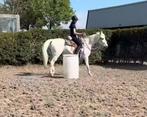Barrels western, Dieren en Toebehoren, Paarden en Pony's | Overige Paardenspullen, Ophalen, Gebruikt, Western