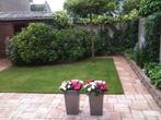 50m2 wildverband, Tuin en Terras, Tegels en Klinkers, Ophalen, Gebruikt, 10 m² of meer, Beton