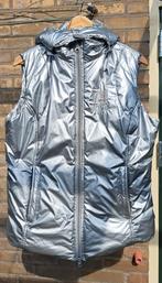 Warme bodywarmer zilver maat XL (1x gedragen), Bovenkleding, Ophalen of Verzenden, Dames, Zo goed als nieuw