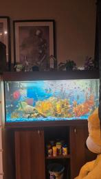 Aquarium  100x40x50, Dieren en Toebehoren, Vissen | Aquaria en Toebehoren, Ophalen of Verzenden, Leeg aquarium