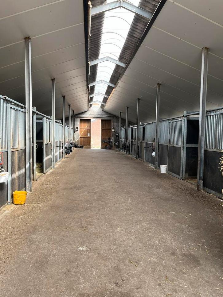 Pensionstal ‘t Heike te Gastel, Dieren en Toebehoren, Stalling en Weidegang, Stalling, Weidegang, 1 paard of pony