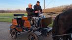 Rolstoel menwagen marathonwagen koets (Chr. van den Heuvel), Dieren en Toebehoren, Zo goed als nieuw, Marathonwagen