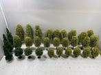 30 Bomen (Noch/Busch), Hobby en Vrije tijd, Modeltreinen | H0, Overige merken, Natuur, Gelijkstroom of Wisselstroom, Ophalen of Verzenden