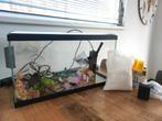 Aquarium Ciano 60x30x34 zwart incl. Pomp&filter, Dieren en Toebehoren, Vissen | Aquaria en Toebehoren, Zo goed als nieuw, Ophalen