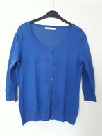 Vestje, Kleding | Dames, Truien en Vesten, Gedragen, Miss Etam, Blauw, Maat 42/44 (L)