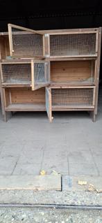 Konijnenflat, Dieren en Toebehoren, Ophalen, Gebruikt, 90 cm of meer, Konijn