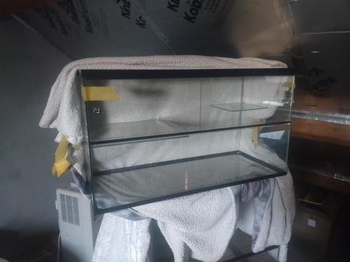 Terrarium glazen hok reptielen knaagdieren, Dieren en Toebehoren, Reptielen en Amfibieën | Toebehoren, Zo goed als nieuw, Terrarium of Paludarium