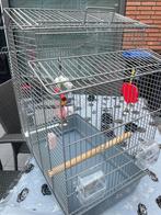 Vogels kooı, Dieren en Toebehoren, Vogels | Hokken en Kooien, Verzenden, Zo goed als nieuw, Hout, Vogelkooi