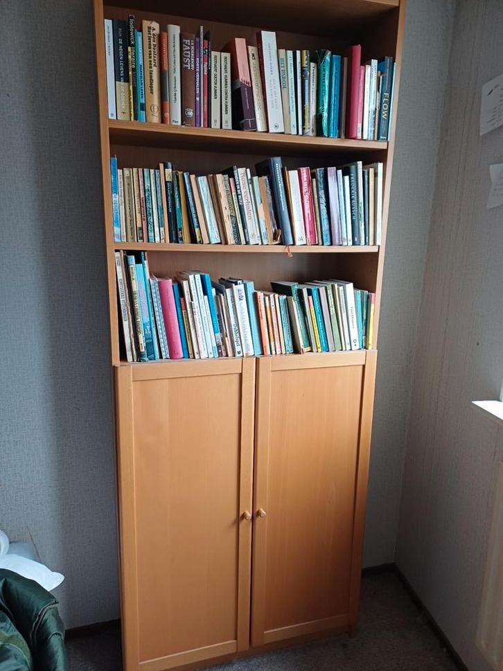 Drie Kasten, Huis en Inrichting, Kasten | Boekenkasten, Gebruikt, 50 tot 100 cm, 200 cm of meer, 25 tot 50 cm, Met deur(en), Met plank(en)